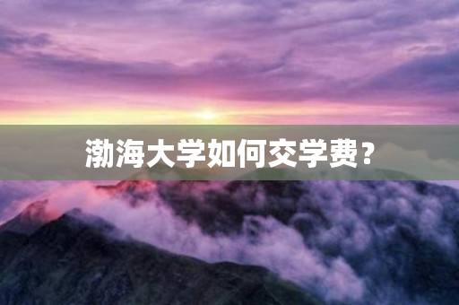 渤海大学如何交学费？