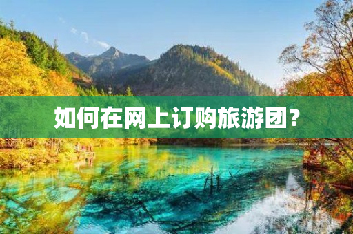 如何在网上订购旅游团？