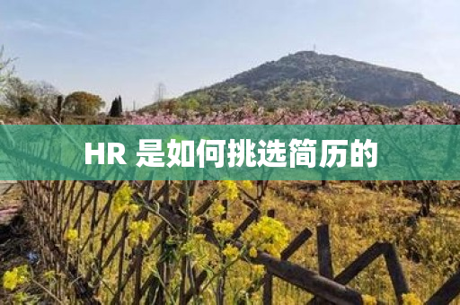 HR 是如何挑选简历的