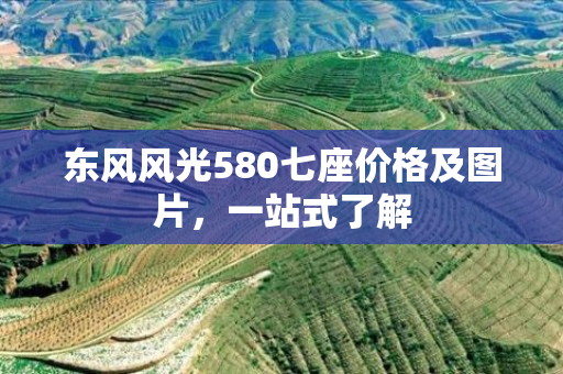 东风风光580七座价格及图片，一站式了解