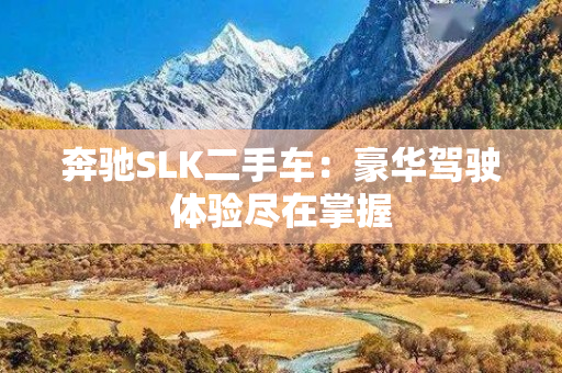 奔驰SLK二手车：豪华驾驶体验尽在掌握