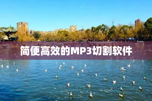 简便高效的MP3切割软件