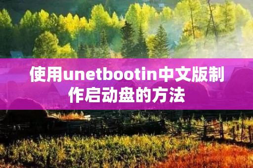 使用unetbootin中文版制作启动盘的方法