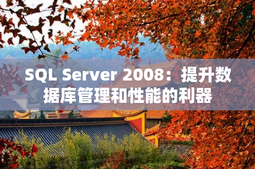 SQL Server 2008：提升数据库管理和性能的利器