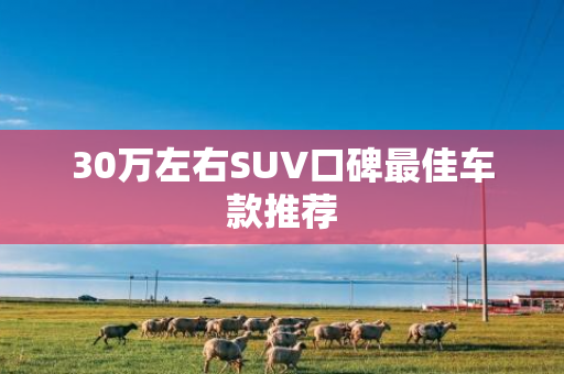 30万左右SUV口碑最佳车款推荐