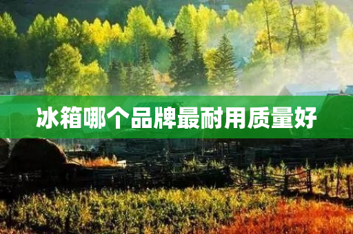 冰箱哪个品牌最耐用质量好