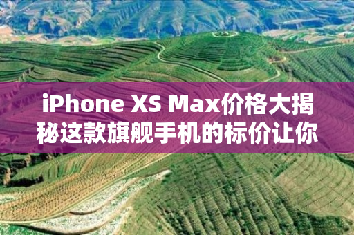 iPhone XS Max价格大揭秘这款旗舰手机的标价让你惊讶不已