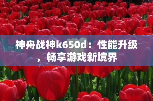 神舟战神k650d：性能升级，畅享游戏新境界