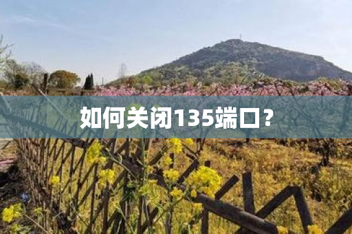 如何关闭135端口？