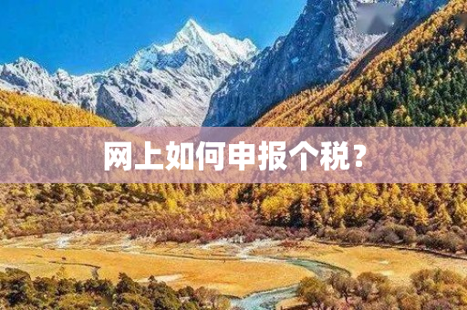 网上如何申报个税？