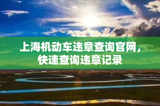 上海机动车违章查询官网，快速查询违章记录