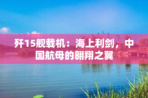 歼15舰载机：海上利剑，中国航母的翱翔之翼