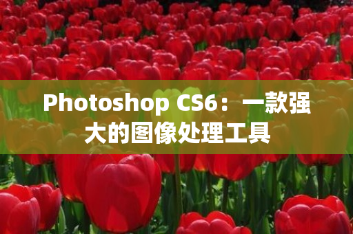 Photoshop CS6：一款强大的图像处理工具