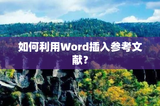 如何利用Word插入参考文献？