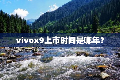 vivox9上市时间是哪年？