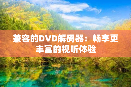 兼容的DVD解码器：畅享更丰富的视听体验