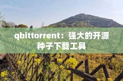 qbittorrent：强大的开源种子下载工具