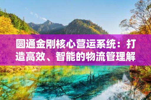 圆通金刚核心营运系统：打造高效、智能的物流管理解决方案