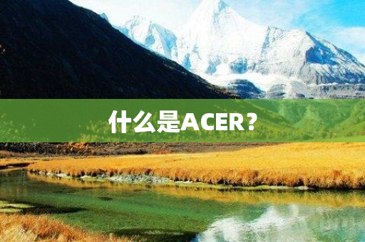 什么是ACER？