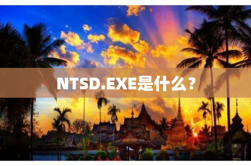 NTSD.EXE是什么？