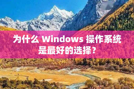 为什么 Windows 操作系统是最好的选择？