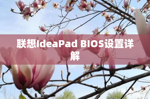 联想IdeaPad BIOS设置详解