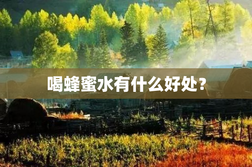 喝蜂蜜水有什么好处？