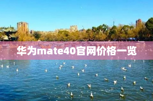 华为mate40官网价格一览