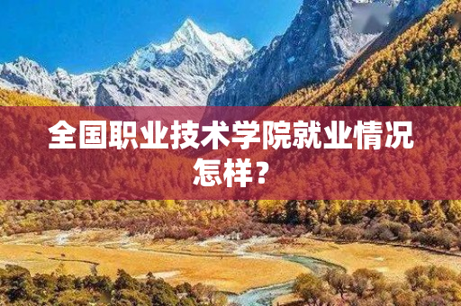 全国职业技术学院就业情况怎样？