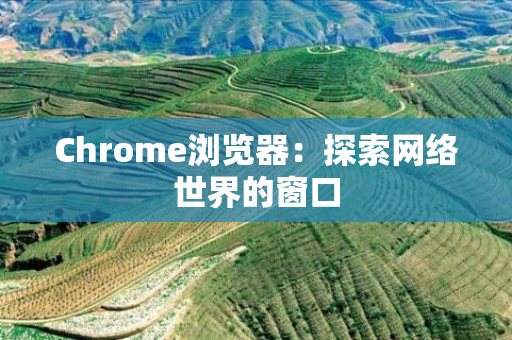 Chrome浏览器：探索网络世界的窗口