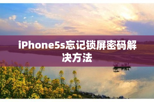 iPhone5s忘记锁屏密码解决方法