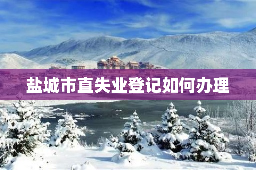 盐城市直失业登记如何办理