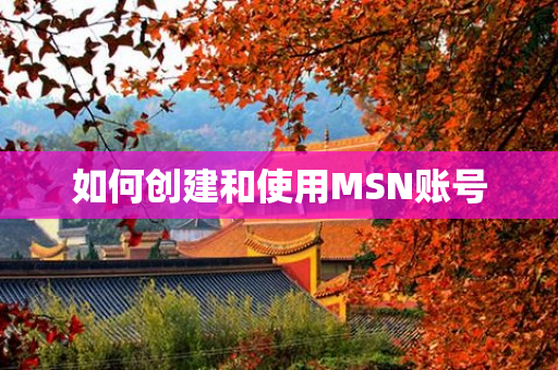 如何创建和使用MSN账号