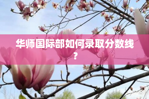 华师国际部如何录取分数线？