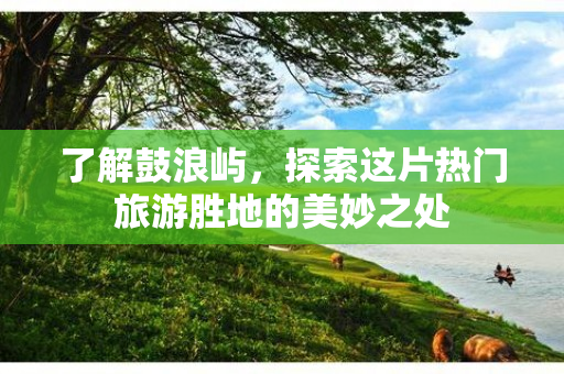 了解鼓浪屿，探索这片热门旅游胜地的美妙之处