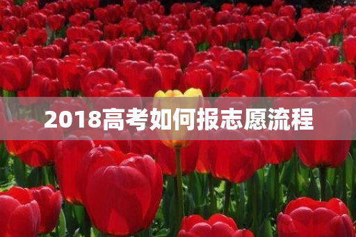 2018高考如何报志愿流程