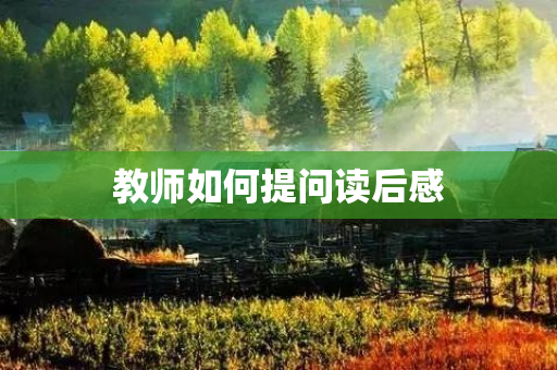 教师如何提问读后感