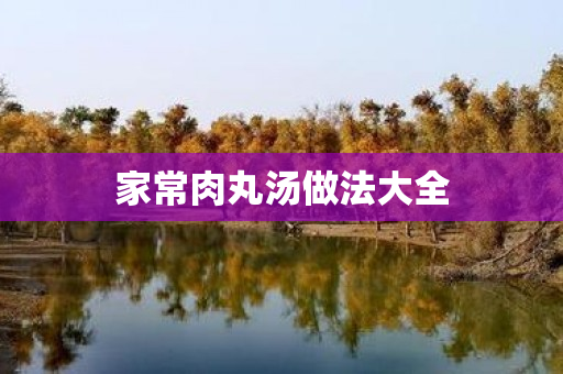 家常肉丸汤做法大全