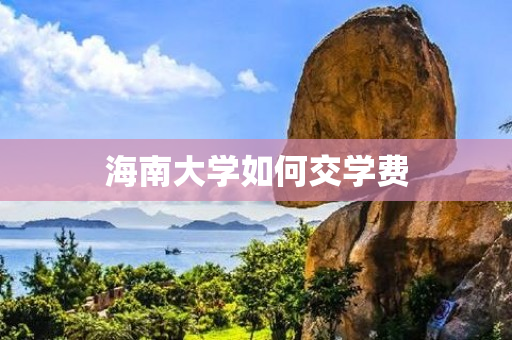 海南大学如何交学费