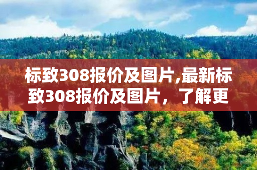 标致308报价及图片,最新标致308报价及图片，了解更多就来