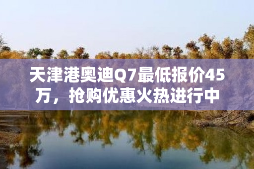 天津港奥迪Q7最低报价45万，抢购优惠火热进行中