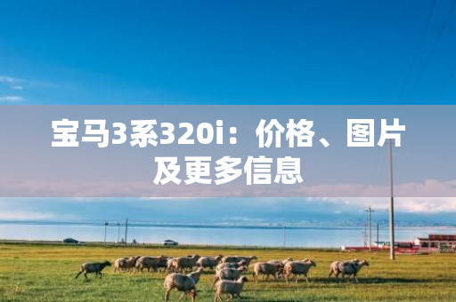 宝马3系320i：价格、图片及更多信息