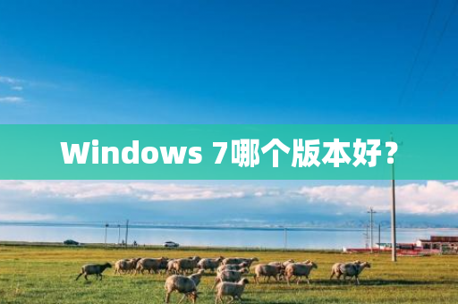 Windows 7哪个版本好？