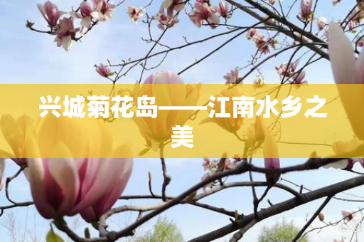 兴城菊花岛——江南水乡之美