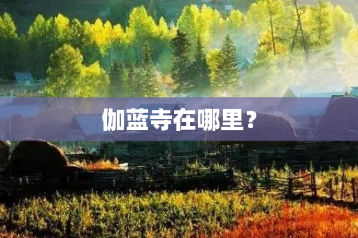 伽蓝寺在哪里？